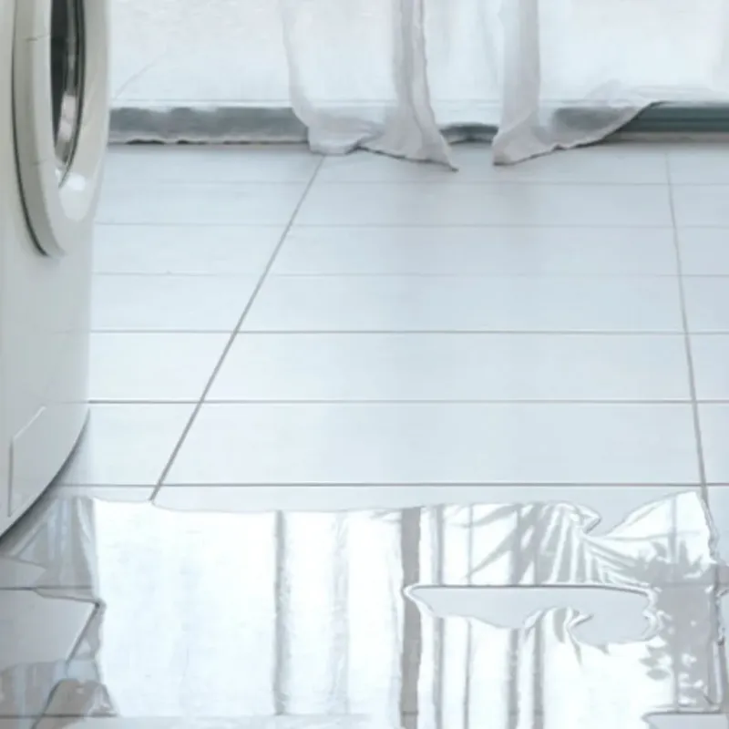 Appliance Leak Cleanup in Delmar, DE