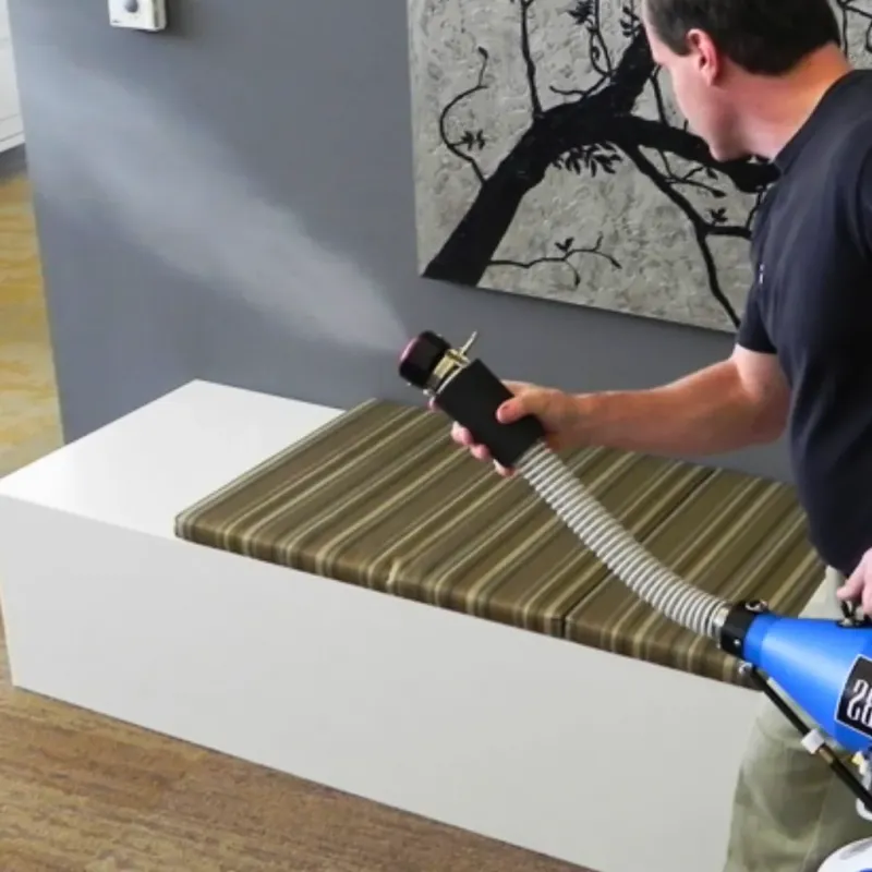 Professional Odor Removal in Delmar, DE