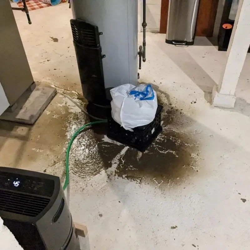 Sewage Backup Cleanup Service in Delmar, DE